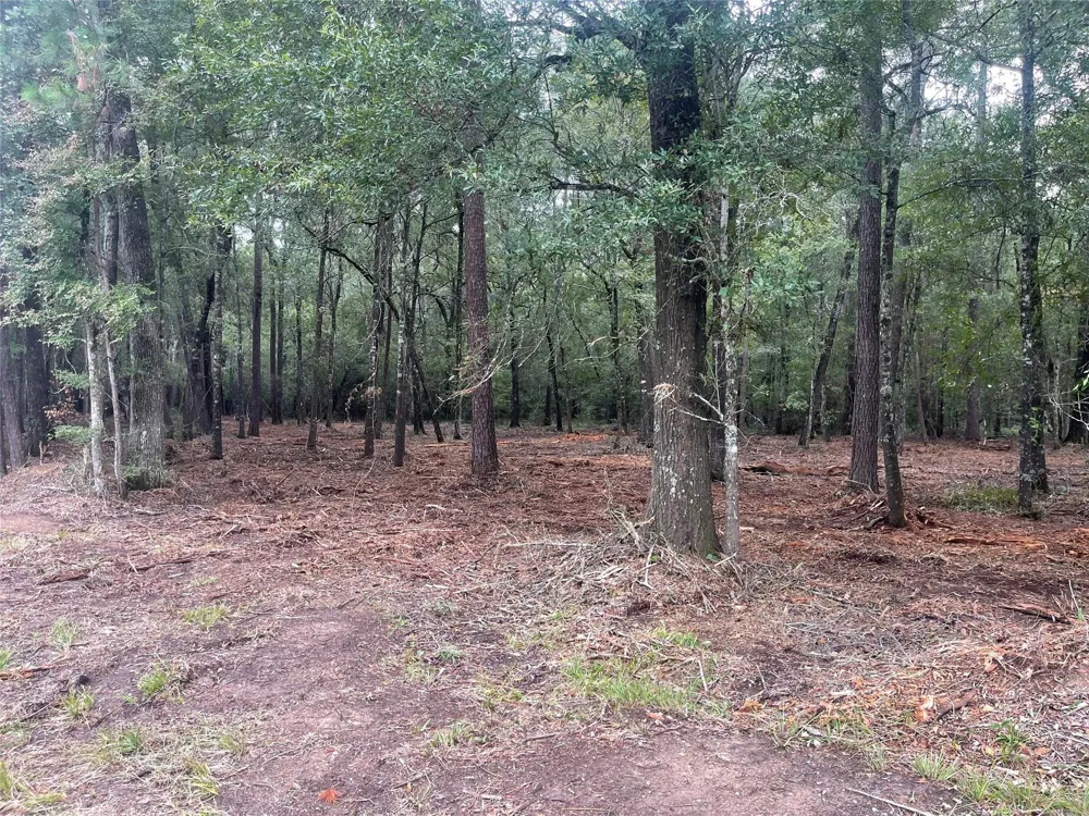 Mangum Road West Livingston, TX 77351