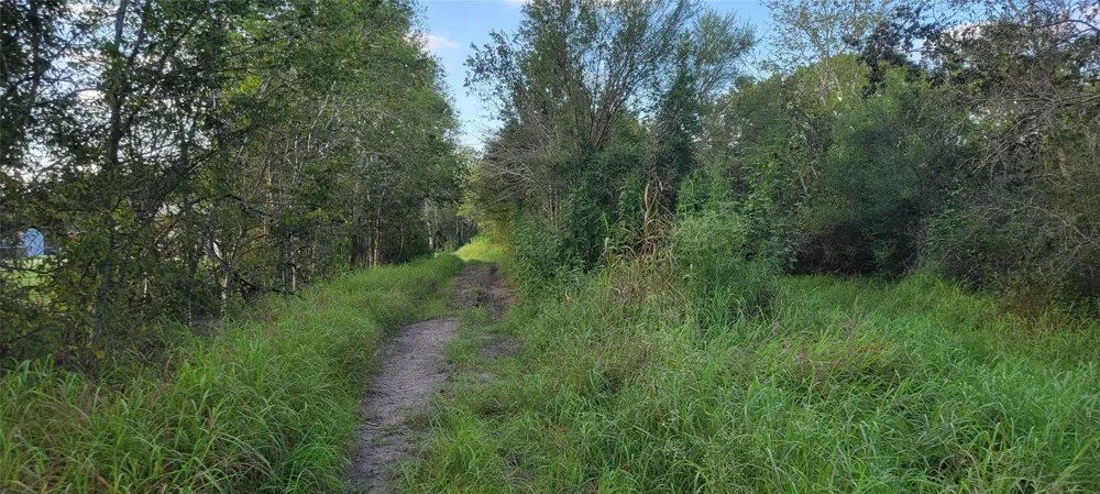 Whitetail Xing Crossing Needville, TX 77461