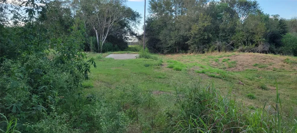 Whitetail Xing Crossing Needville, TX 77461