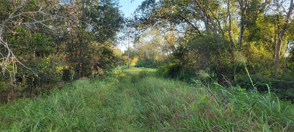 Whitetail Xing Crossing Needville, TX 77461