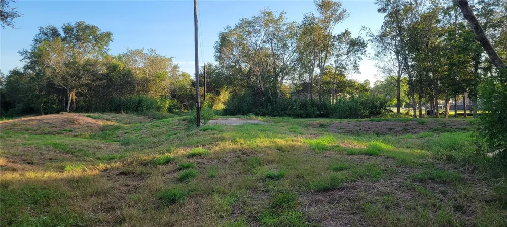Whitetail Xing Crossing Needville, TX 77461