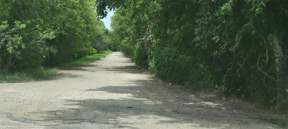 Whitetail Xing Crossing Needville, TX 77461