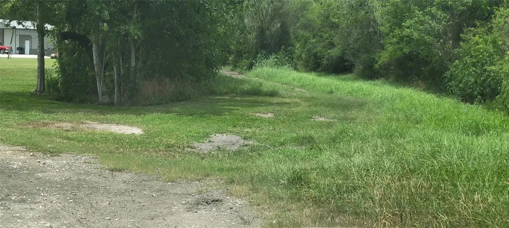 Whitetail Xing Crossing Needville, TX 77461