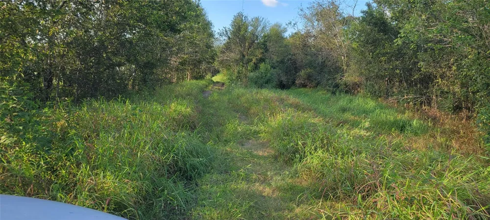 Whitetail Xing Crossing Needville, TX 77461