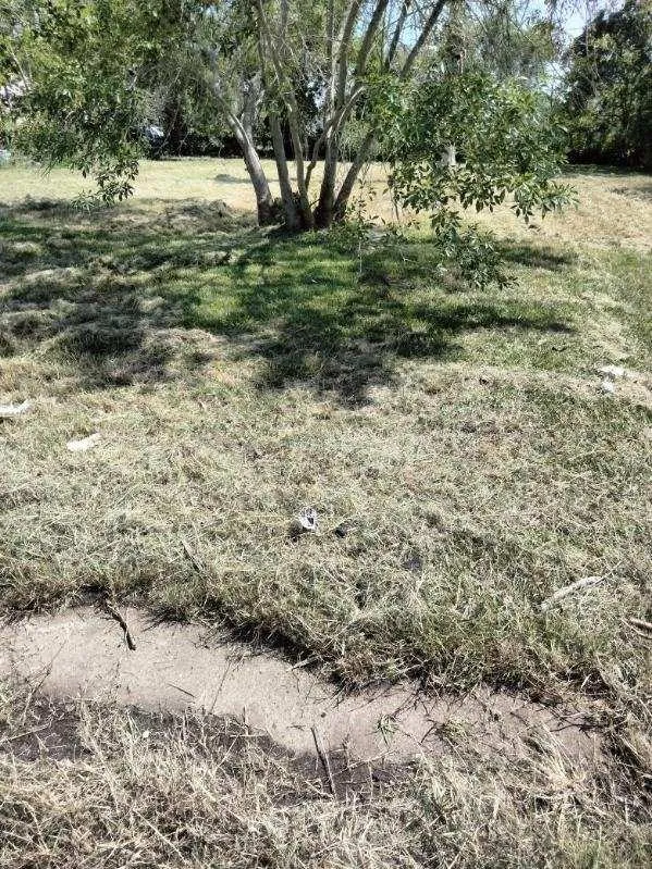 615 W 5th Street Freeport, TX 77541