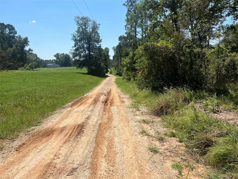 Hill Top Lane Point Blank, TX 77364