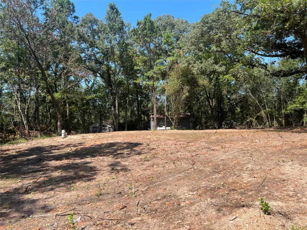 Hill Top Lane Point Blank, TX 77364
