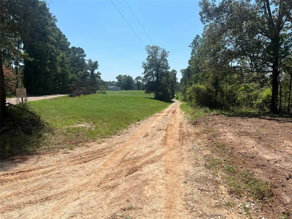 Hill Top Lane Point Blank, TX 77364