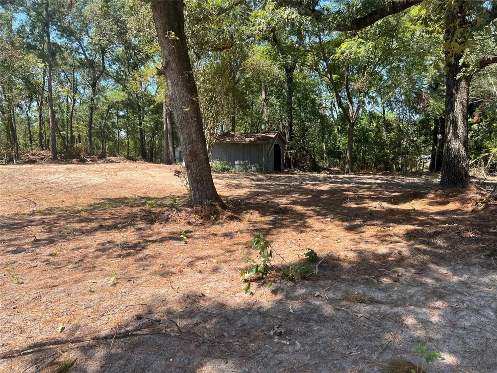 Hill Top Lane Point Blank, TX 77364