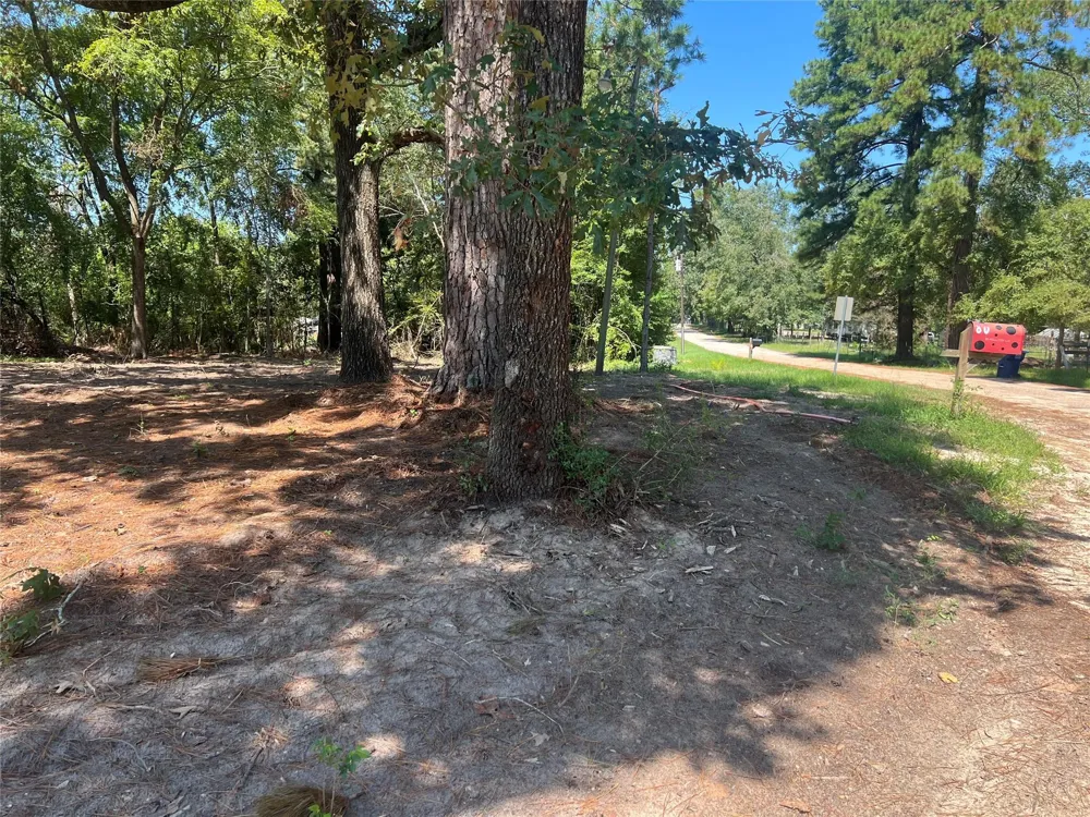 Hill Top Lane Point Blank, TX 77364
