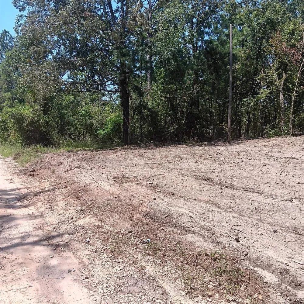 Hill Top Lane Point Blank, TX 77364