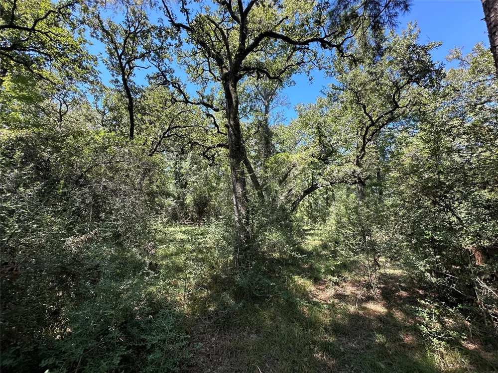 3 Cr 481 Centerville, TX 75833
