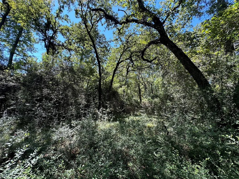 3 Cr 481 Centerville, TX 75833