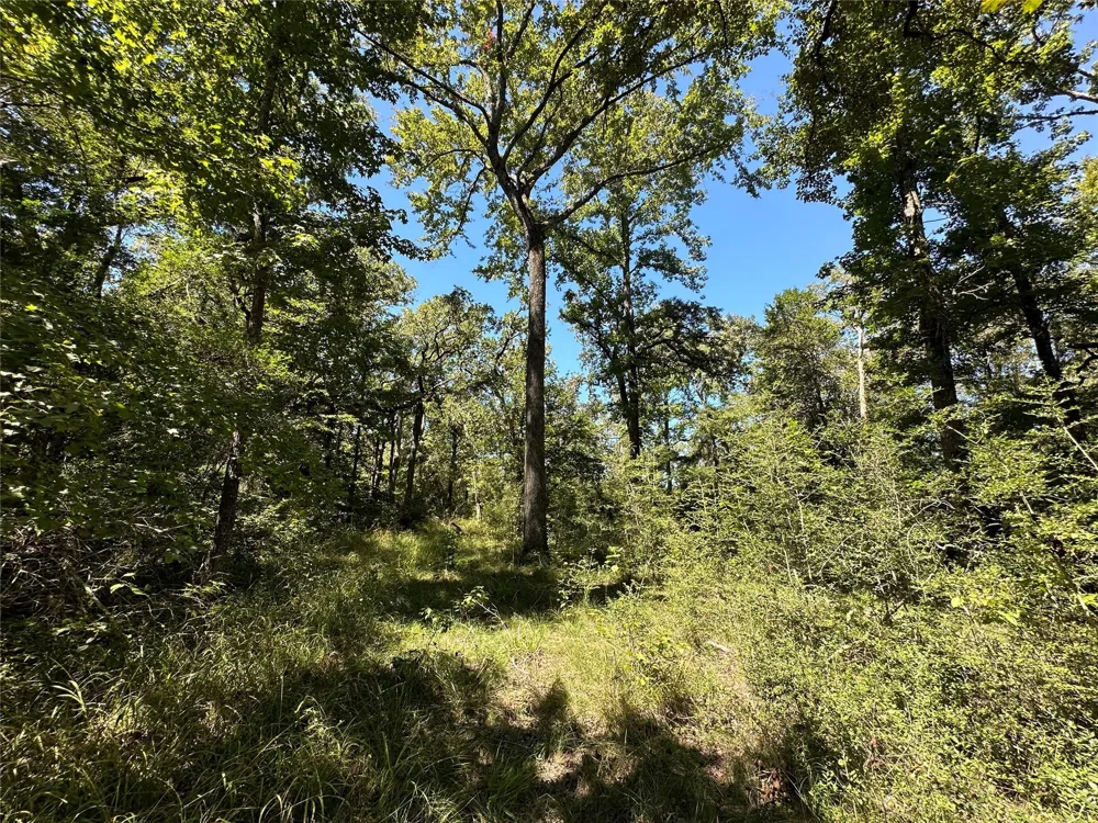 3 Cr 481 Centerville, TX 75833