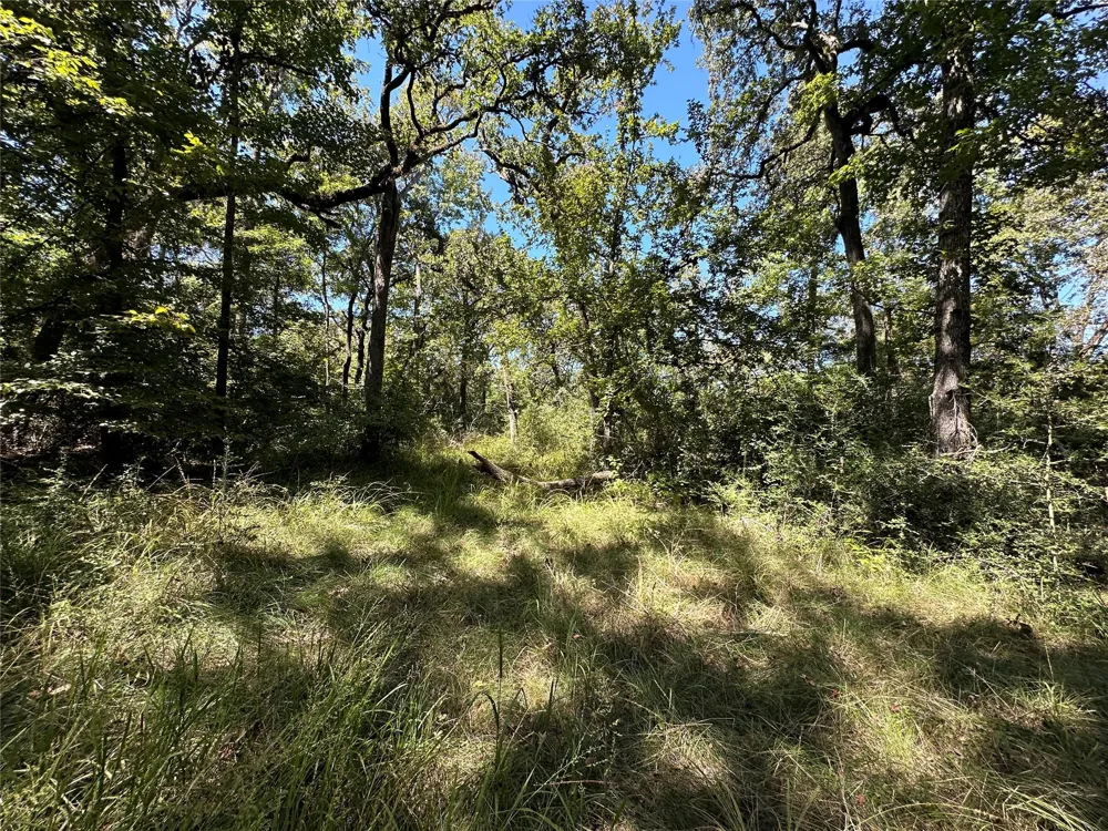 3 Cr 481 Centerville, TX 75833