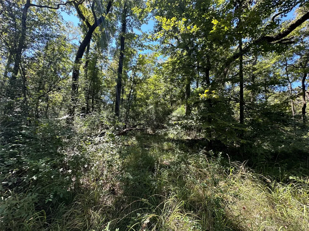 3 Cr 481 Centerville, TX 75833