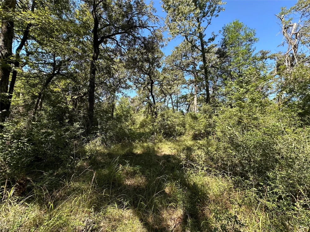 3 Cr 481 Centerville, TX 75833