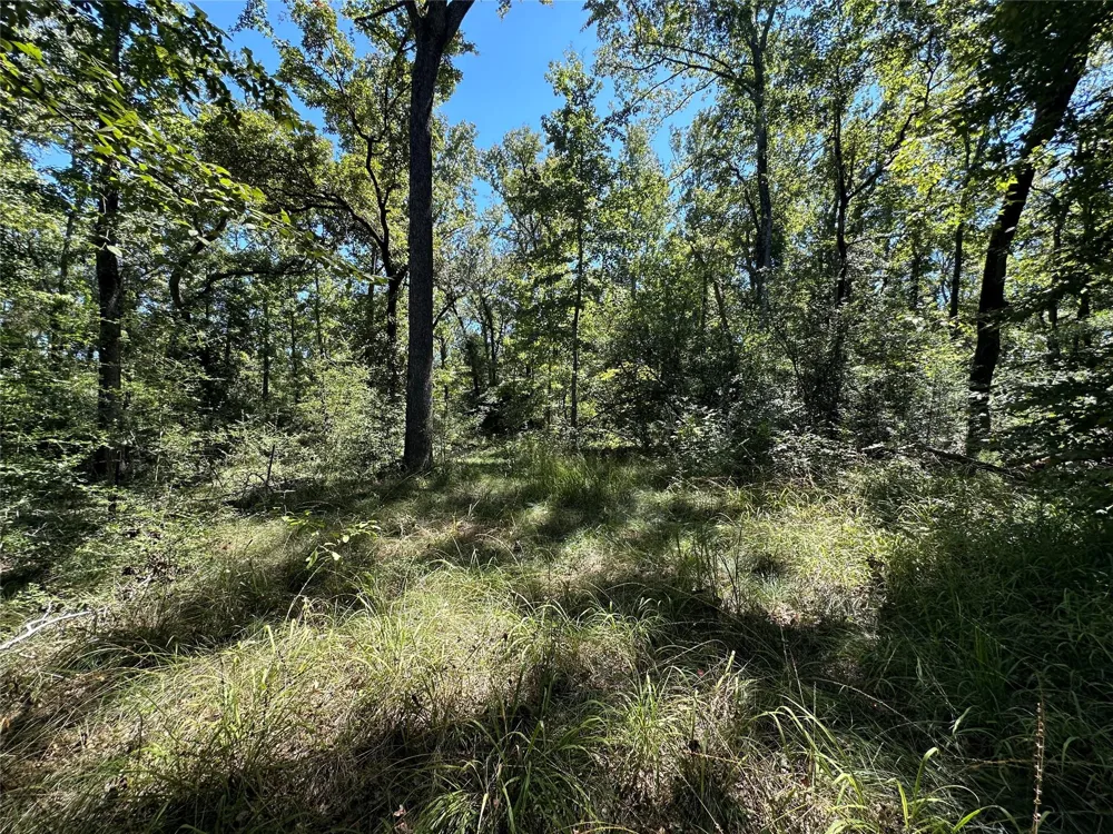 3 Cr 481 Centerville, TX 75833