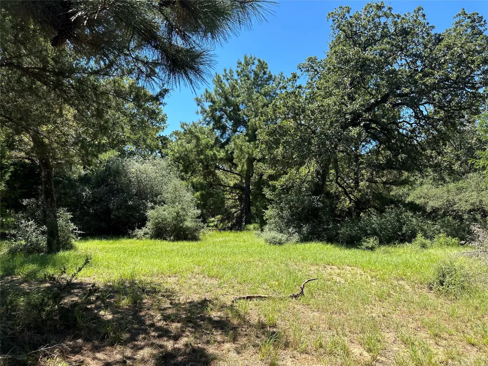 3 Cr 481 Centerville, TX 75833