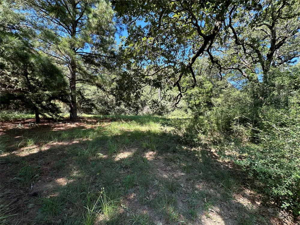 3 Cr 481 Centerville, TX 75833