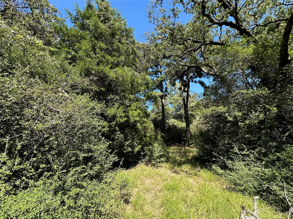 3 Cr 481 Centerville, TX 75833