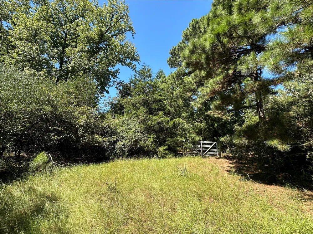 3 Cr 481 Centerville, TX 75833