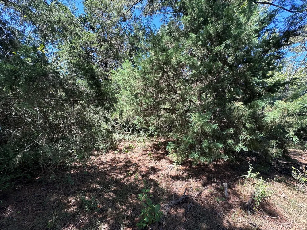 3 Cr 481 Centerville, TX 75833