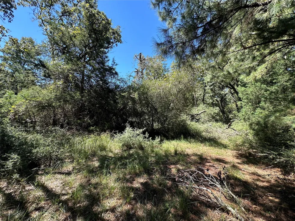 3 Cr 481 Centerville, TX 75833