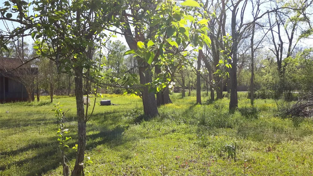 8826 W Humble Westfield Road