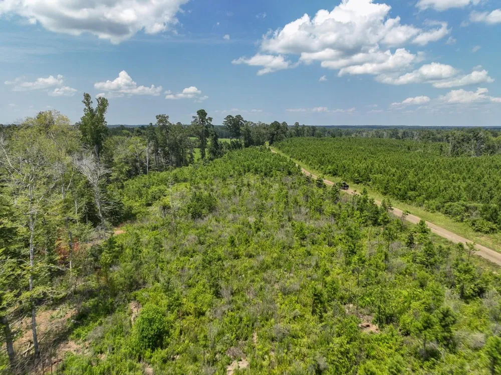 1 Coussons Drive Hemphill, TX 75948