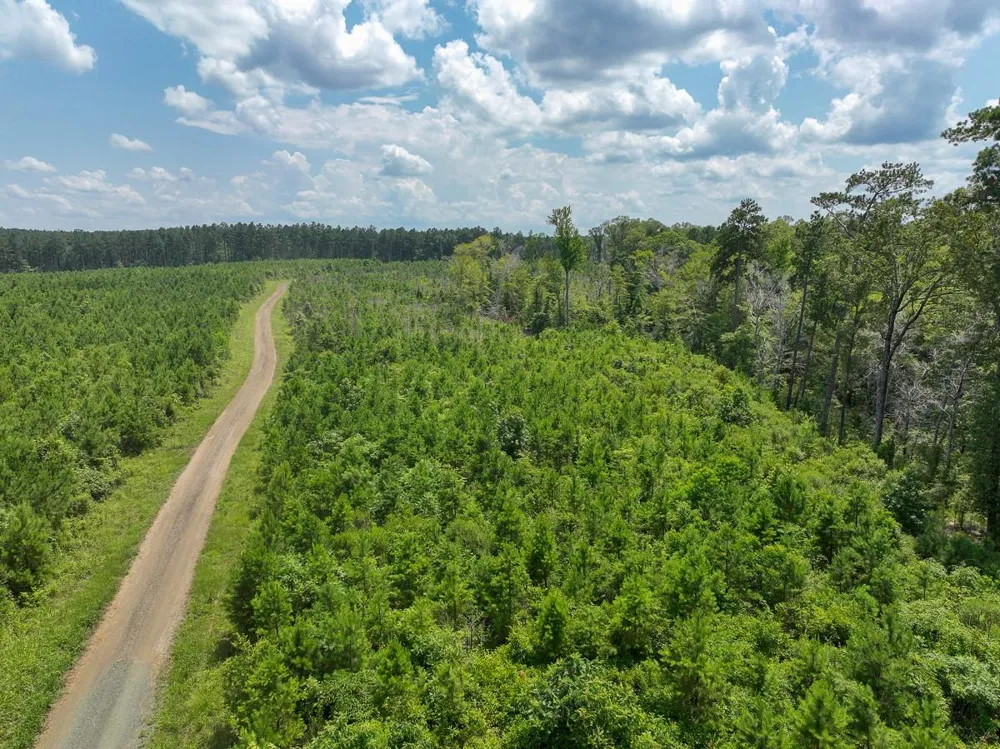 1 Coussons Drive Hemphill, TX 75948