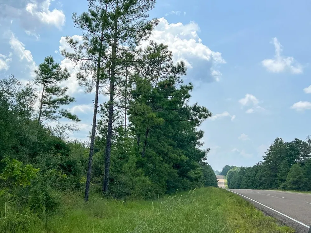4 County Road 235 Browndell, TX 75931