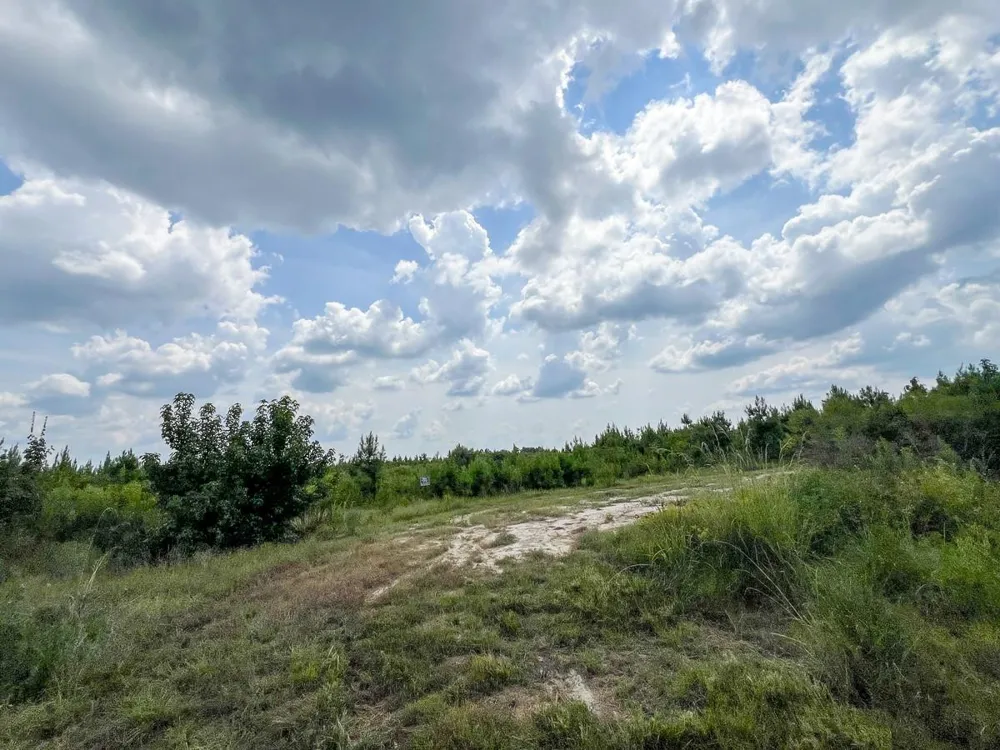 4 County Road 235 Browndell, TX 75931