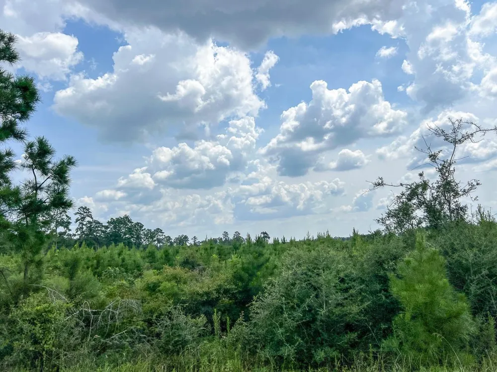 4 County Road 235 Browndell, TX 75931