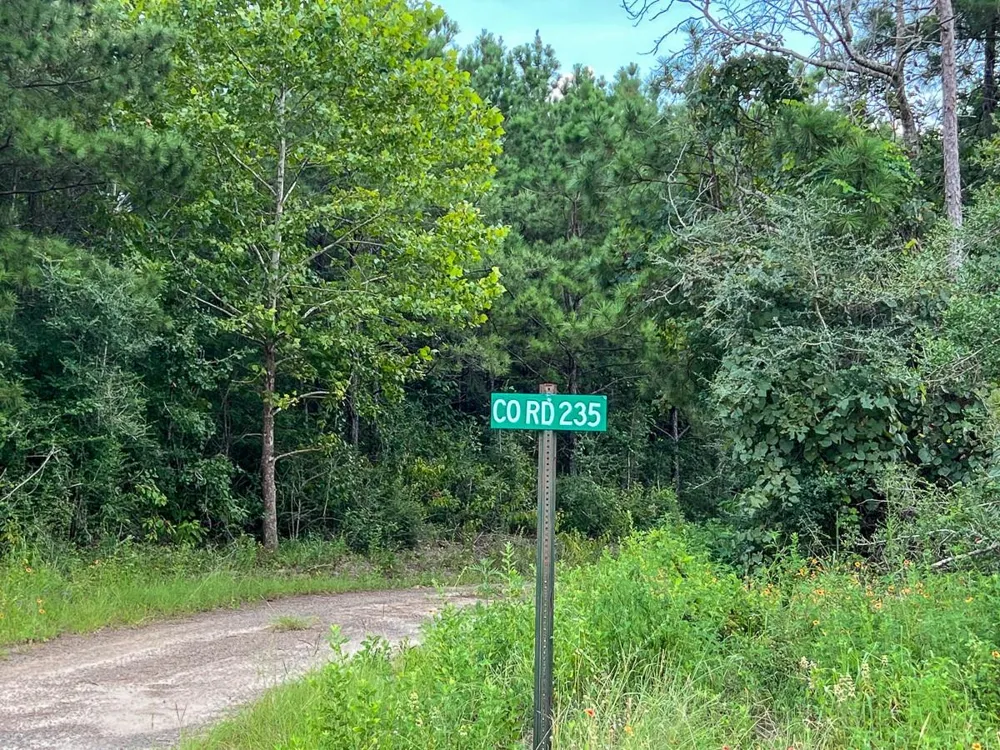 4 County Road 235 Browndell, TX 75931