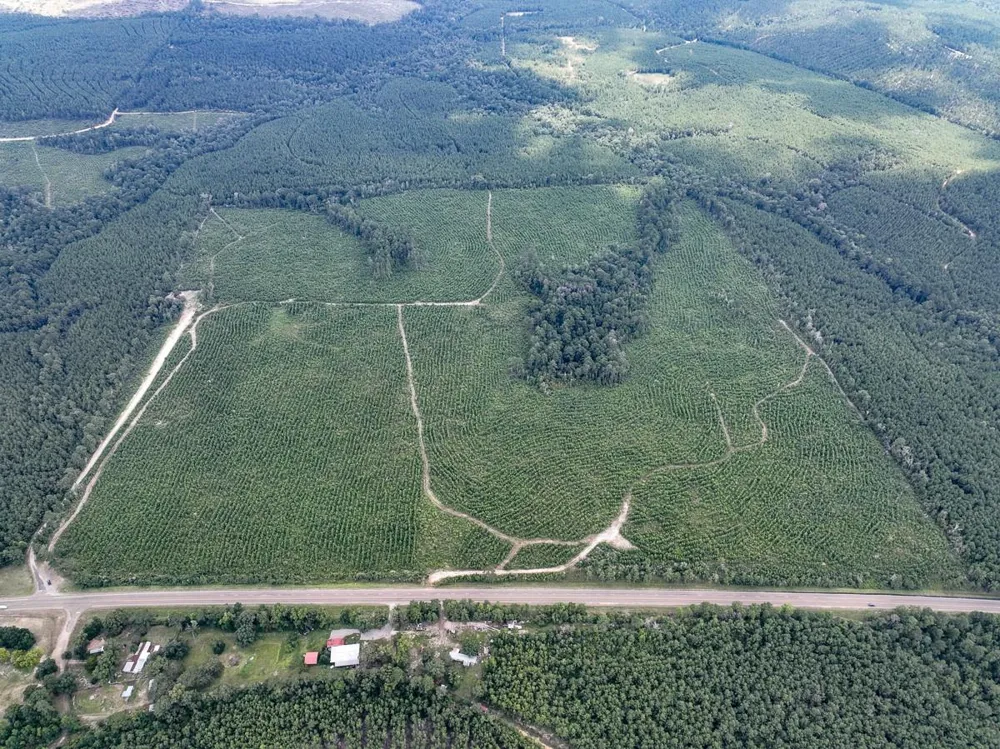 4 County Road 235 Browndell, TX 75931