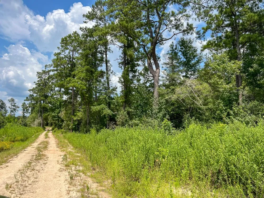 4 County Road 235 Browndell, TX 75931