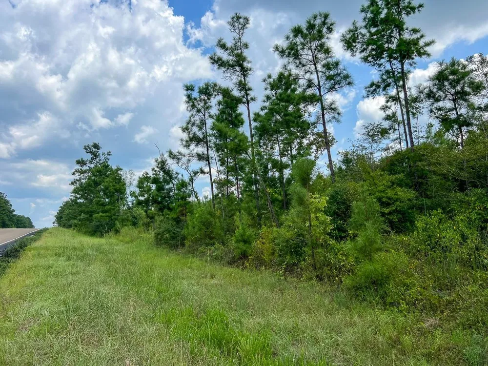 4 County Road 235 Browndell, TX 75931