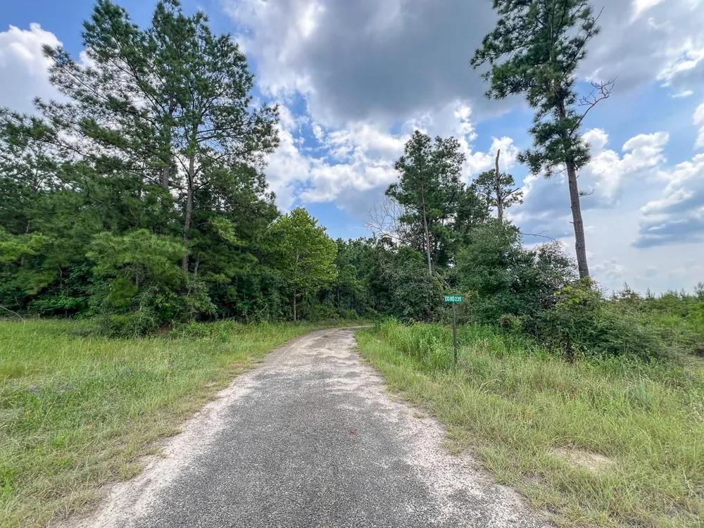 2 County Road 235 Browndell, TX 75931