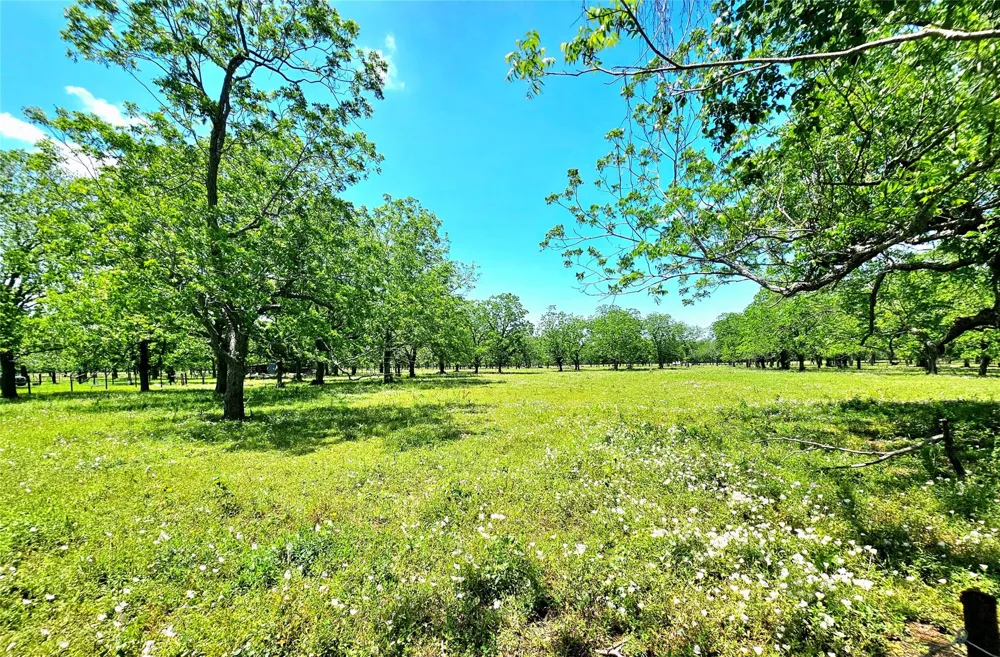Cr 153 Boling, TX 77420