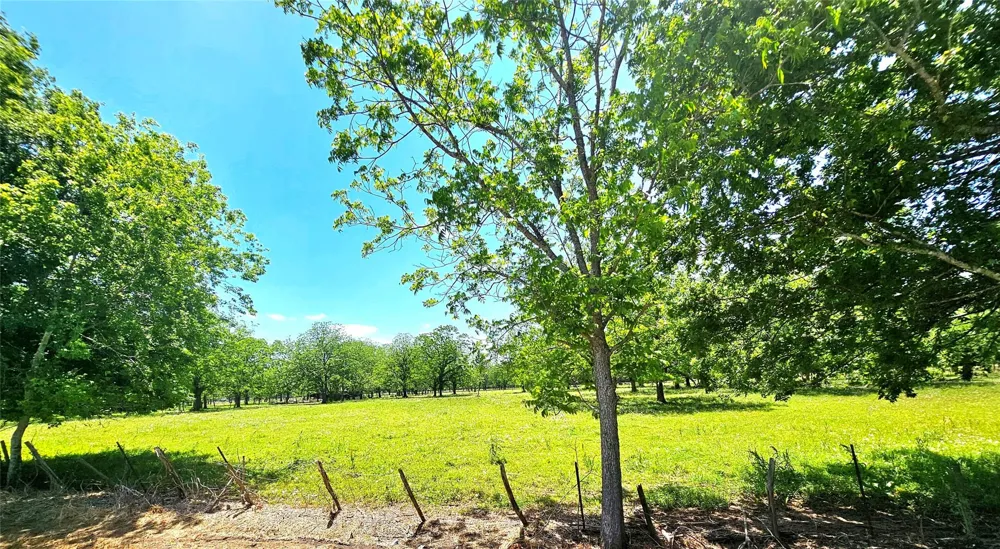 Cr 153 Boling, TX 77420