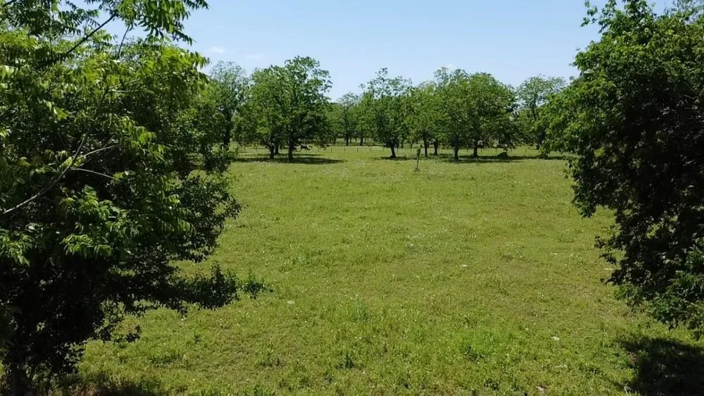 Cr 153 Boling, TX 77420