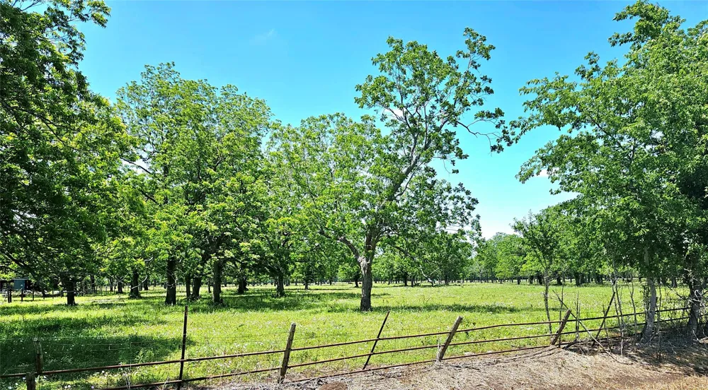 Cr 153 Boling, TX 77420