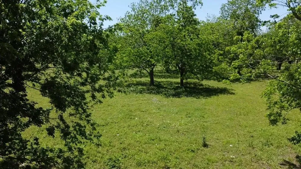 Cr 153 Boling, TX 77420