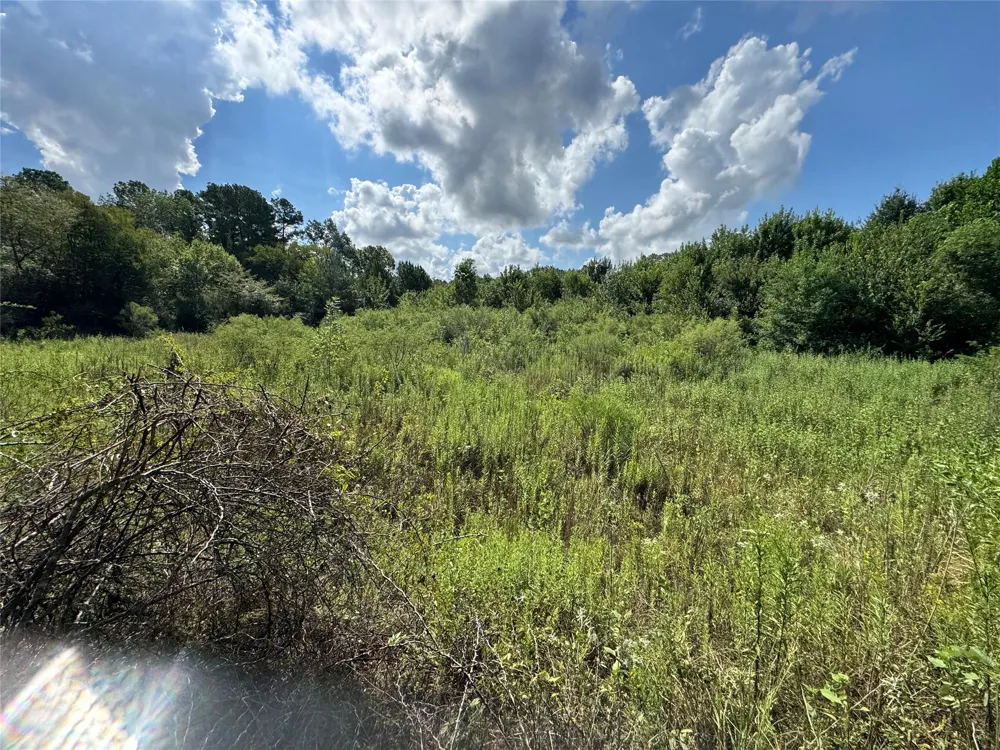 17 Lone Star Parkway Montgomery, TX 77356