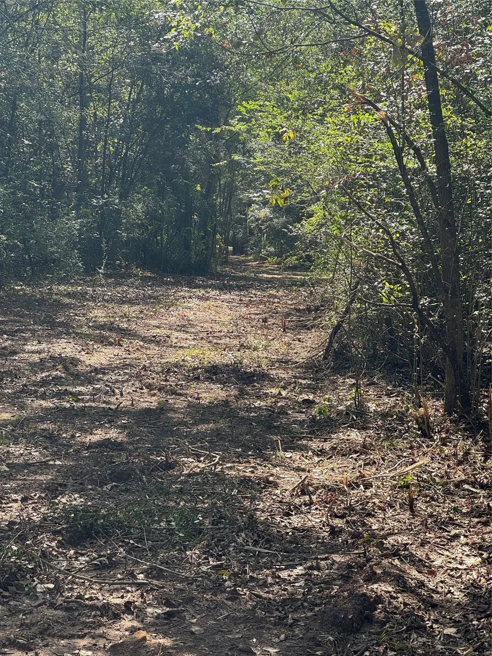 17 Lone Star Parkway Montgomery, TX 77356