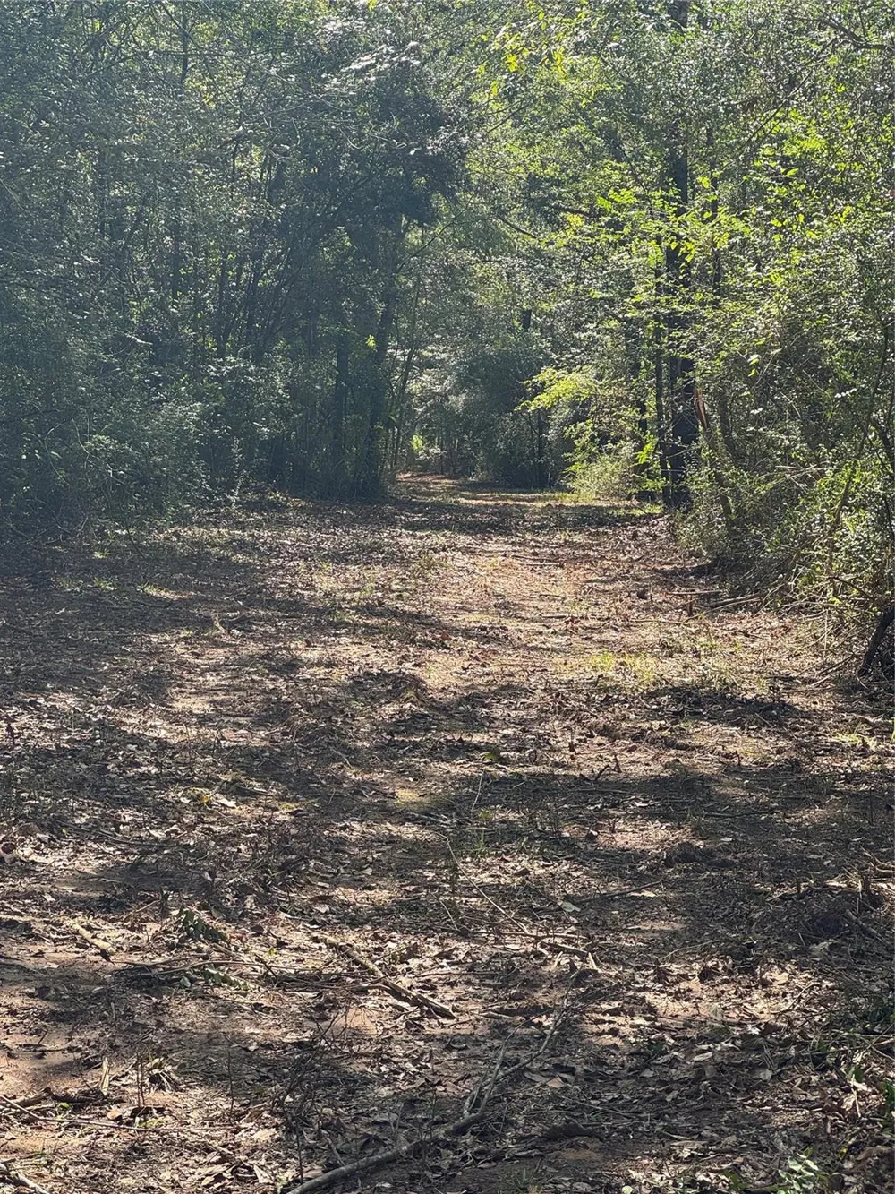 17 Lone Star Parkway Montgomery, TX 77356