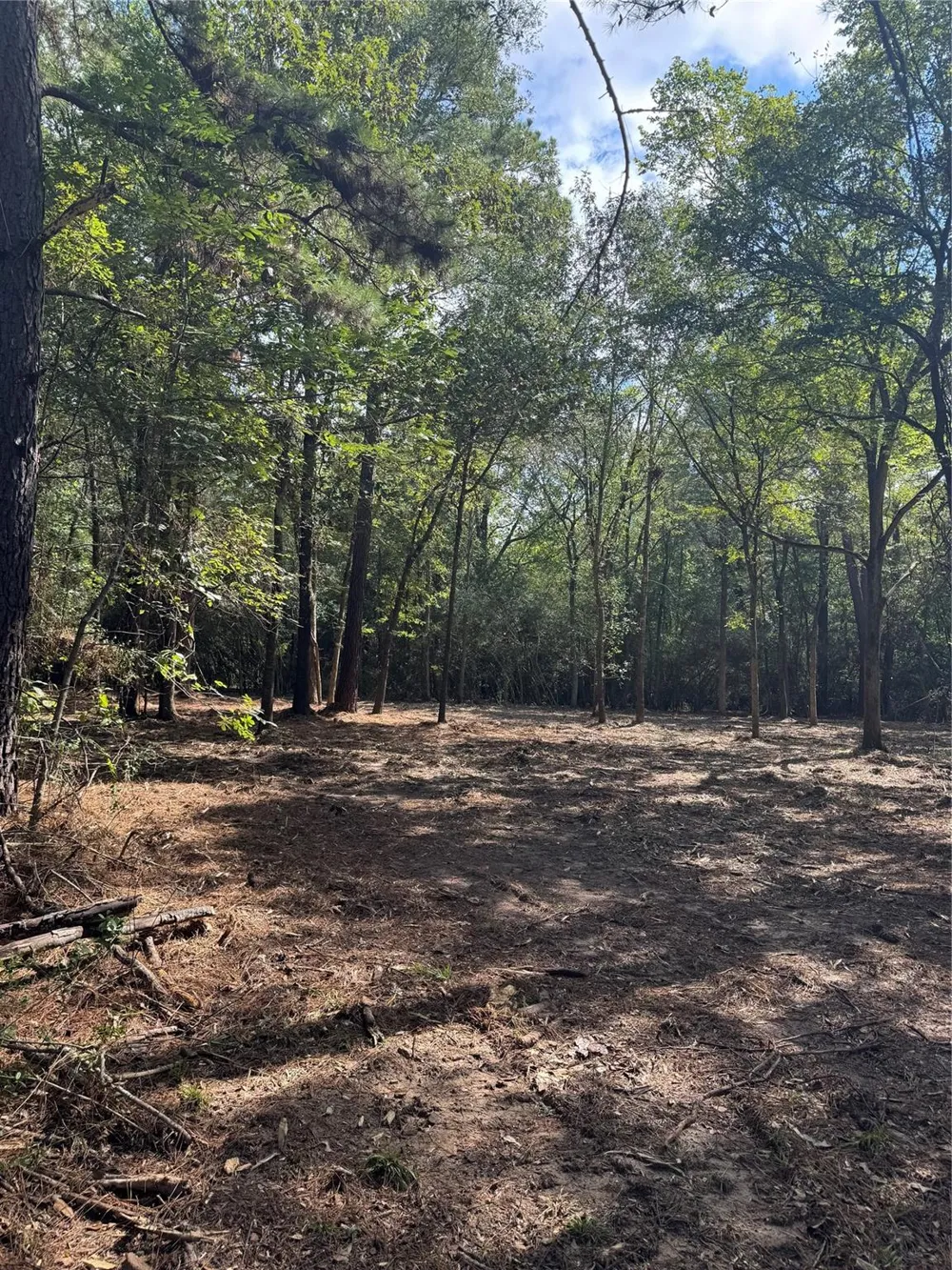 17 Lone Star Parkway Montgomery, TX 77356