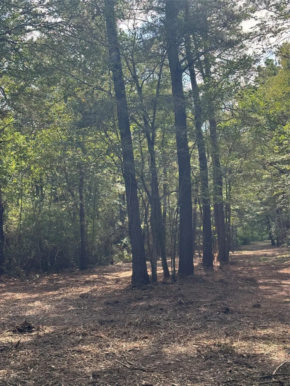 17 Lone Star Parkway Montgomery, TX 77356