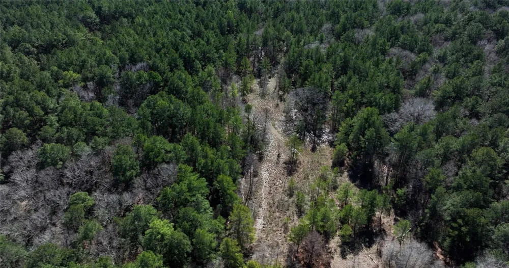Lake Falls Road Huntsville, TX 77320
